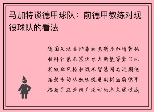 马加特谈德甲球队：前德甲教练对现役球队的看法